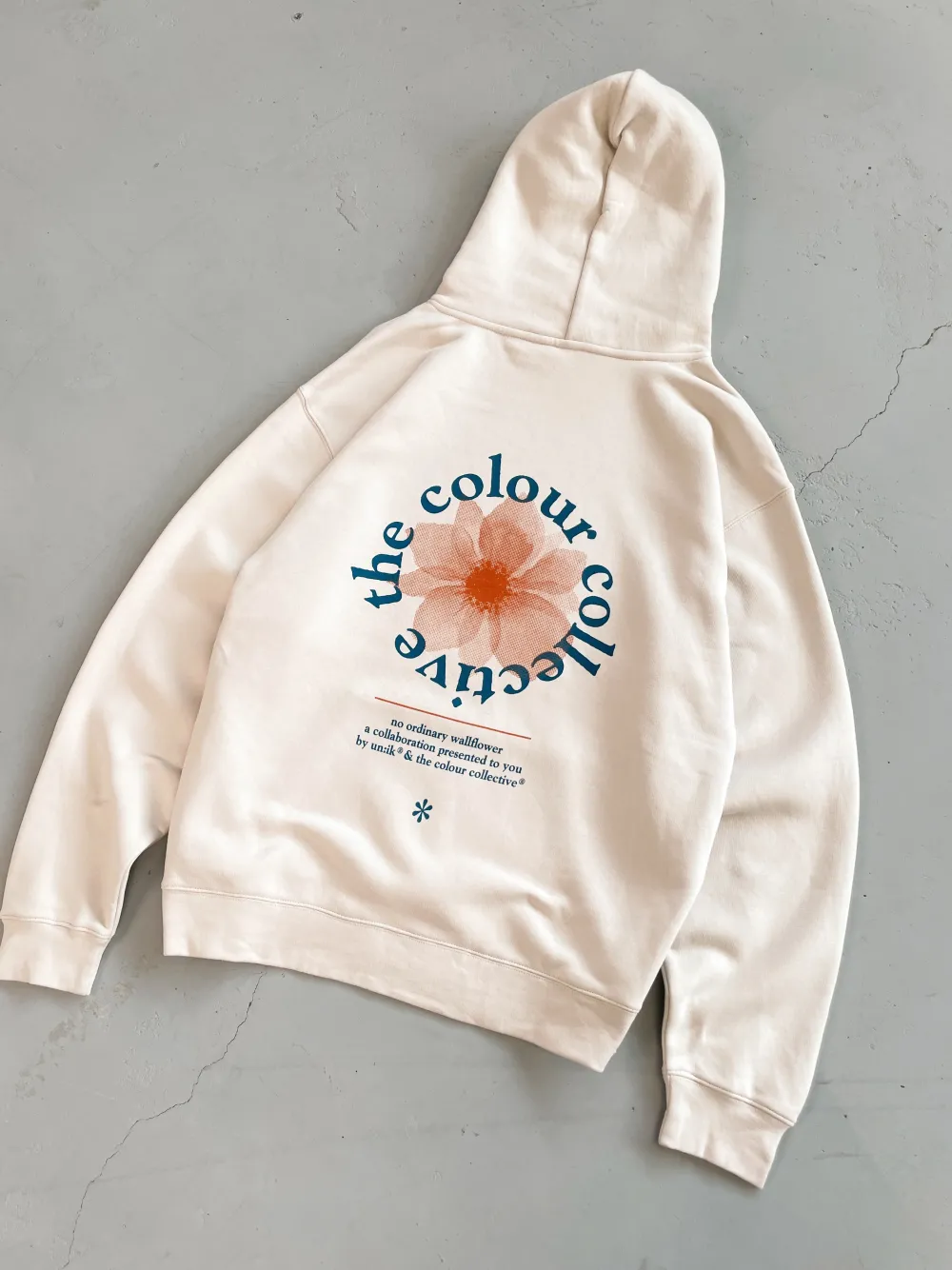 The Colour Collective Colour Collective 'Wallflower' Hoodie - Bone