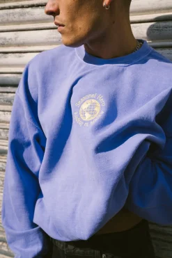 Seasonal Hero 'Aspire' Embroidered Vintage Washed Sweater - Orchid