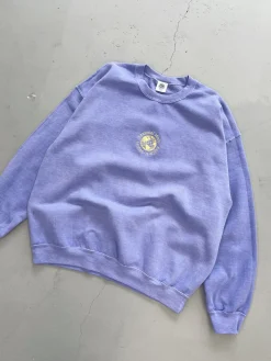 Seasonal Hero 'Aspire' Embroidered Vintage Washed Sweater - Orchid