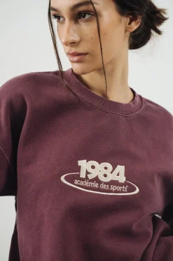 Vice 84 '1984 Disc' Embroidered Sweater - Vintage Washed Maroon