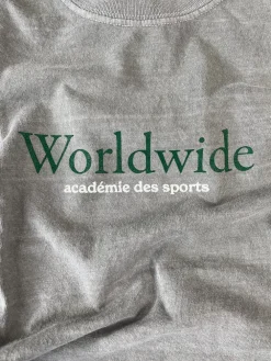Vice 84 'Worldwide' Vintage Washed Tee - Graphite